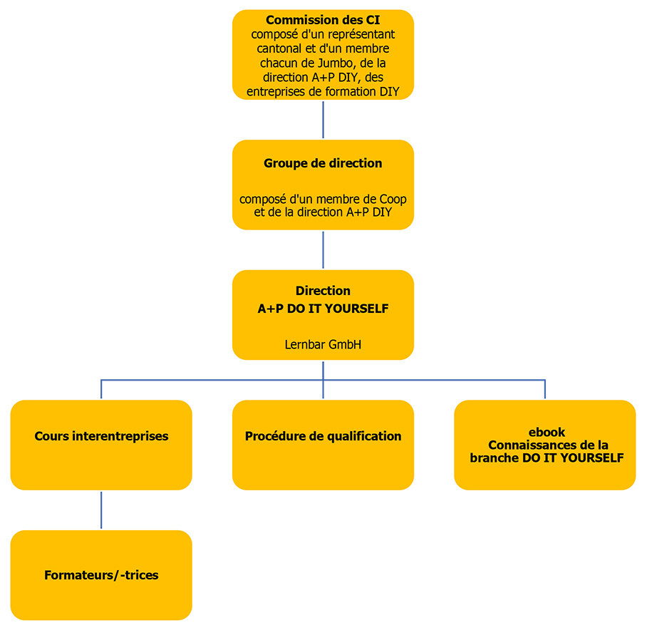 Organigramm A P DIY français